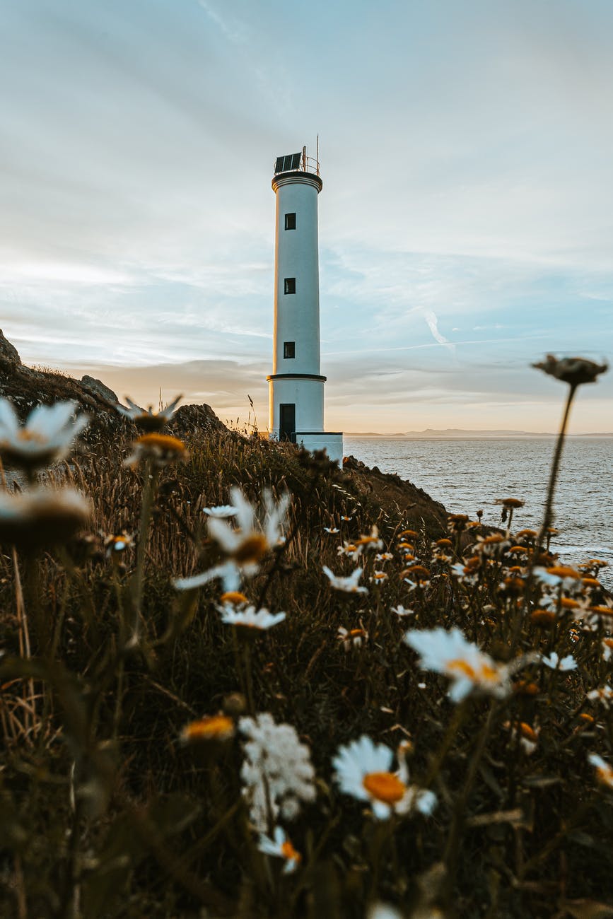 white lighthouse standing on shore